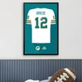 thumbnail image 3 of Bob Griese Miami Dolphins Framed 14" x 20" Retired Jersey Art Print, 3 of 3