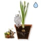 thumbnail image 3 of Paquete de 2 bolas de riego, riego de plantas de interior, sistema de riego para plantas en macetas, plantas de almacenamiento de agua, dispensador de agua de arcilla plástica, decoración de jardín, 3 of 6