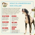 thumbnail image 6 of Country Brook Petz® HossFit Jr Wide Reflective Martingale Dog Collar (Thin Blue Line, Medium), 6 of 7