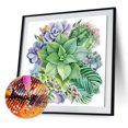 thumbnail image 3 of Succulent - 5D DIY Full Drill Diamond Painting 30*30cm, 3 of 3