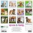 thumbnail image 2 of Kittens &amp; Puppies 2026 12 X 12 Wall Calendar, (Hardcover), 2 of 5