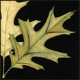thumbnail image 3 of Goldberger, Jennifer 20x20 Black Modern Framed Museum Art Print Titled - Small Tandem Leaves III, 3 of 5