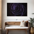 thumbnail image 3 of Elephant Stock Blooming Violet Rose Wall Art - Horizontal Canvas Wall Art - Living Room Wall Decor - Gothic Canvas - Purple And Black Decor - 48" x 32", 3 of 8