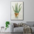 thumbnail image 2 of Succulent IV Framed Premium Gallery Wrapped Canvas - Ready to Hang - 27 x 41 - Silver Floating Frame, 2 of 9