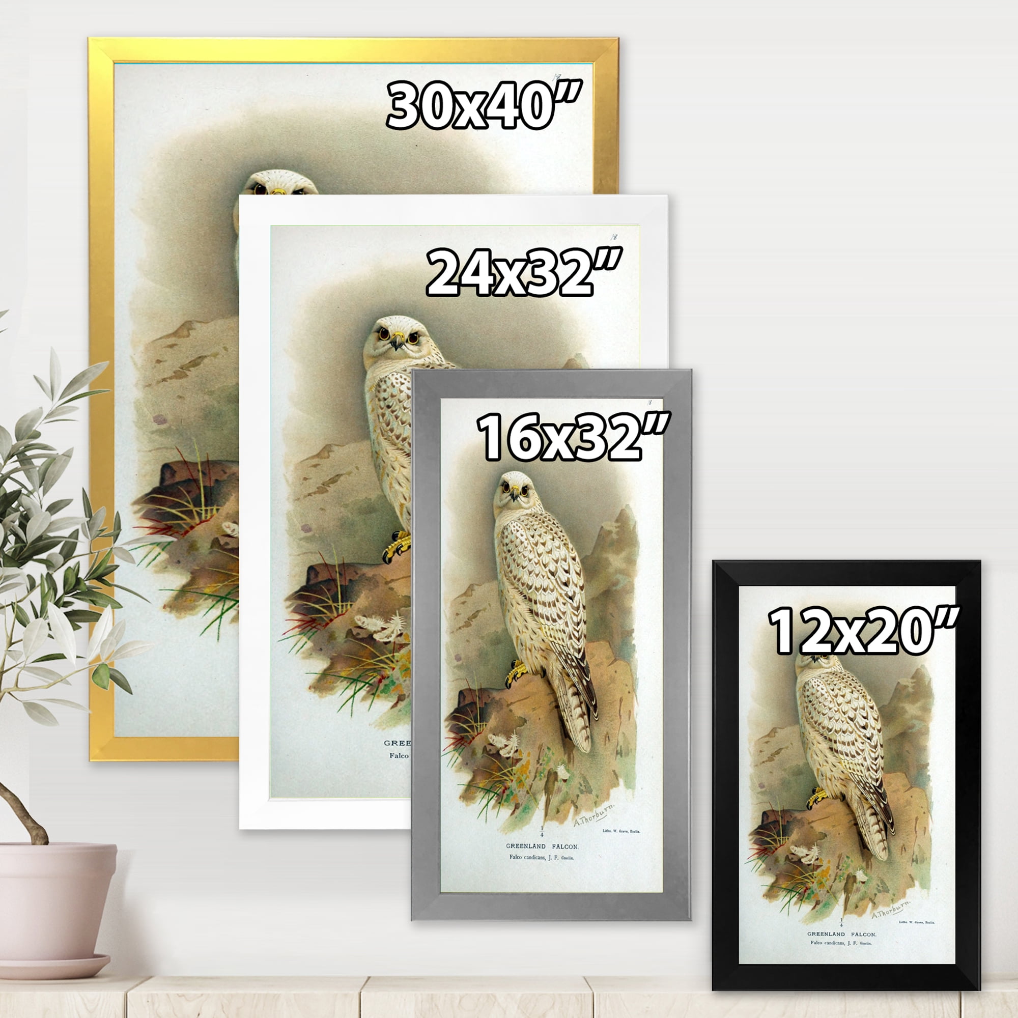 Designart 'Ancient Bird Life VII' Traditional Framed Art Print