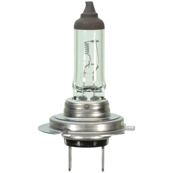 Fog Light Bulb
