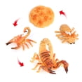 thumbnail image 4 of 1 Set Life Cycle Toy Household Simple Simulation Model Educational Toys Exquisite Interesting Scorpion Models for Home School Brown, 4 of 9