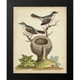 thumbnail image 2 of Edwards, George 20x24 Black Modern Framed Museum Art Print Titled - Natural Habitat II, 2 of 5