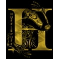 thumbnail image 2 of Boy's Harry Potter Hufflepuff H Logo  Pull Over Hoodie Black Large, 2 of 4