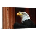 thumbnail image 1 of ARTCANVAS American Bald Eagle Canvas Art Print - Size: 40" x 26" (1.50" Deep), 1 of 9