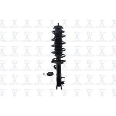 Suspension Strut and Coil Spring Assembly