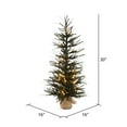 thumbnail image 3 of Vickerman 30" Vienna Twig Artificial Christmas Tree, Warm White Dura-lit LED Lights, 3 of 5