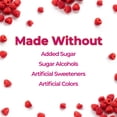 thumbnail image 3 of ChocZero Raspberry Jam, No Sugar Added Fruit Spread, Keto Friendly, Low Carb, 12 oz Jar, 3 of 5
