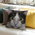 thumbnail image 3 of BANET  Animal Throw Pillow Cushion Cover, Cat Kitty Portrait Young Domestic with Funny Whiskers Pet Humor Graphic, Decorative Square Accent Pillow Case 20x20in, 3 of 5