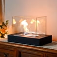 thumbnail image 5 of "JHY DESIGN Portable Smokeless Ethanol Glass Table Top Fire Bowl Pot 13.5""L", 5 of 12