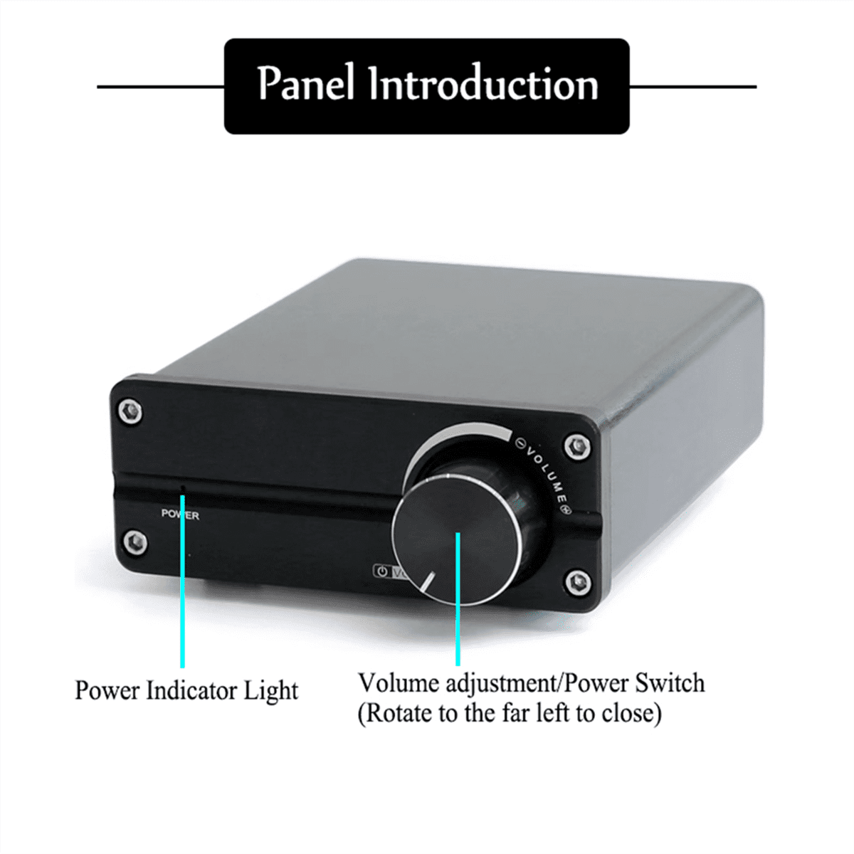100W D100 TPA3116 Digital Power Amplifier Single Sound Channel Class D Desktop Subwoofer for Home Audio Stereo System