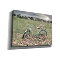 thumbnail image 2 of Epic Graffiti 'Sagebrush Bicycle' by Lori Deiter, Canvas Wall Art, 54"x40", 2 of 2