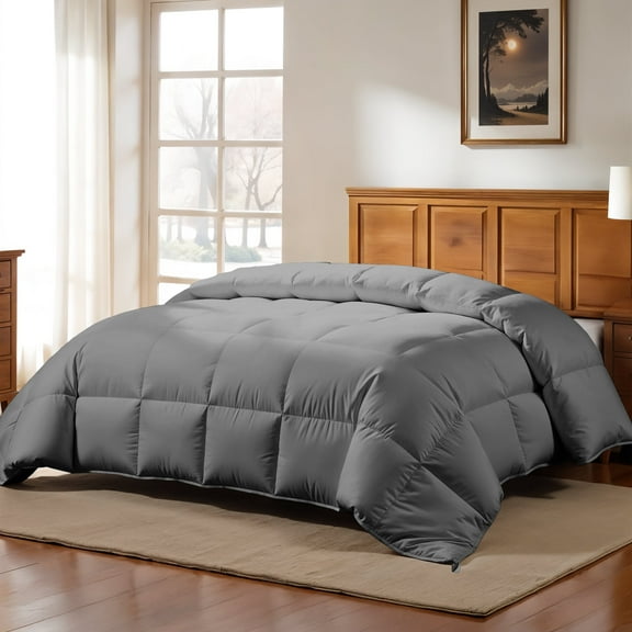 Lux Decor Collection Reversible Down Alternative Soft Quilted Queen Comforter - All Season Duvet Insert with Corner Tabs (Queen, Grey)