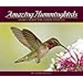 thumbnail image 3 of Adventure Publications Colibris Étonnants, 3 of 3