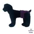 thumbnail image 2 of Barkertime Regal Purple Washable Dog Diaper - Made in USA, 2 of 6