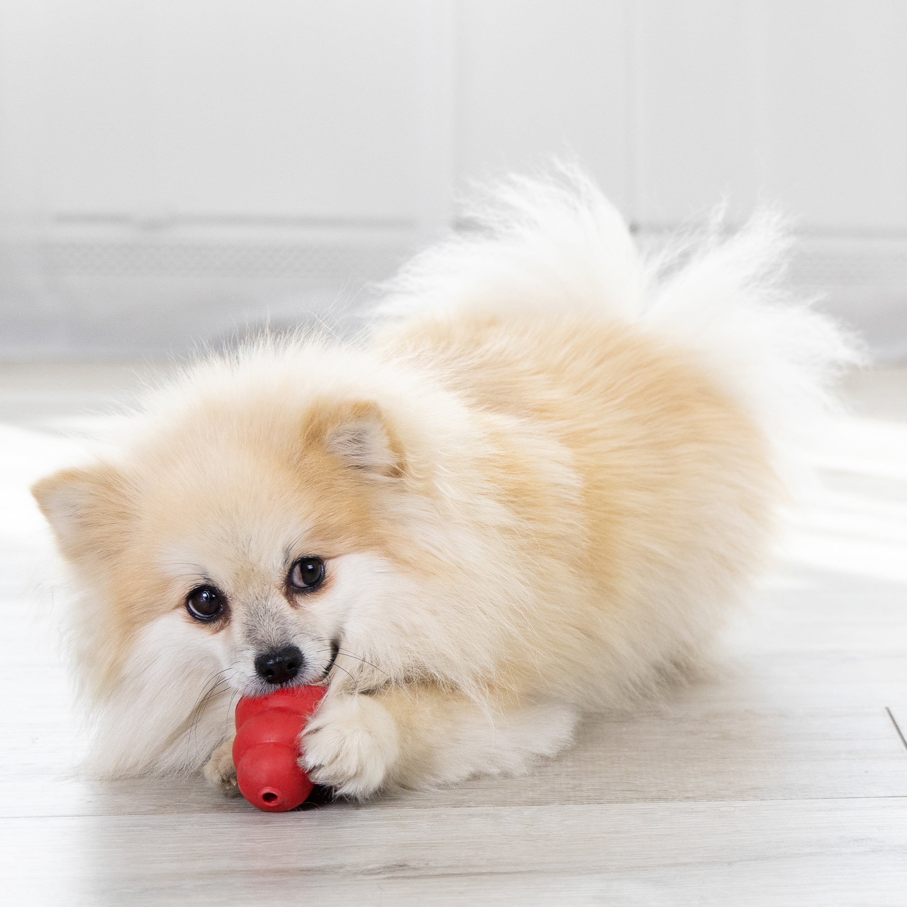 KONG® Classic Rubber Dog Toy for Average Chewers, Small, for Dogs Up to 20 lbs