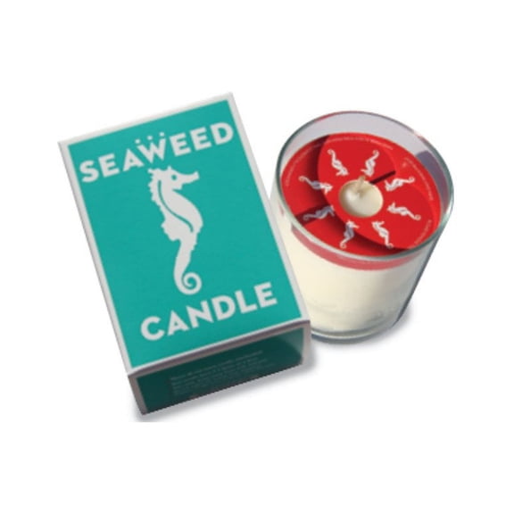 Swedish Dream Seaweed Candle
