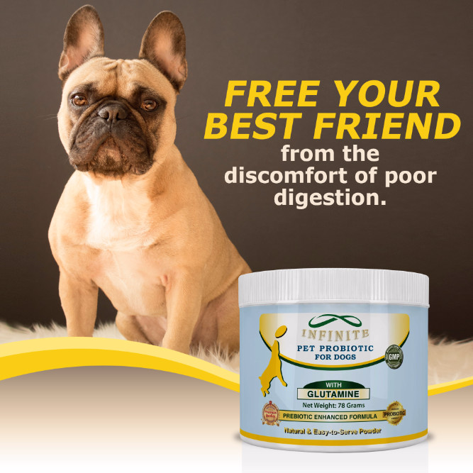 Infinite Pet Essential Probiotic for Dogs, 60 Servings - image 4 of 5