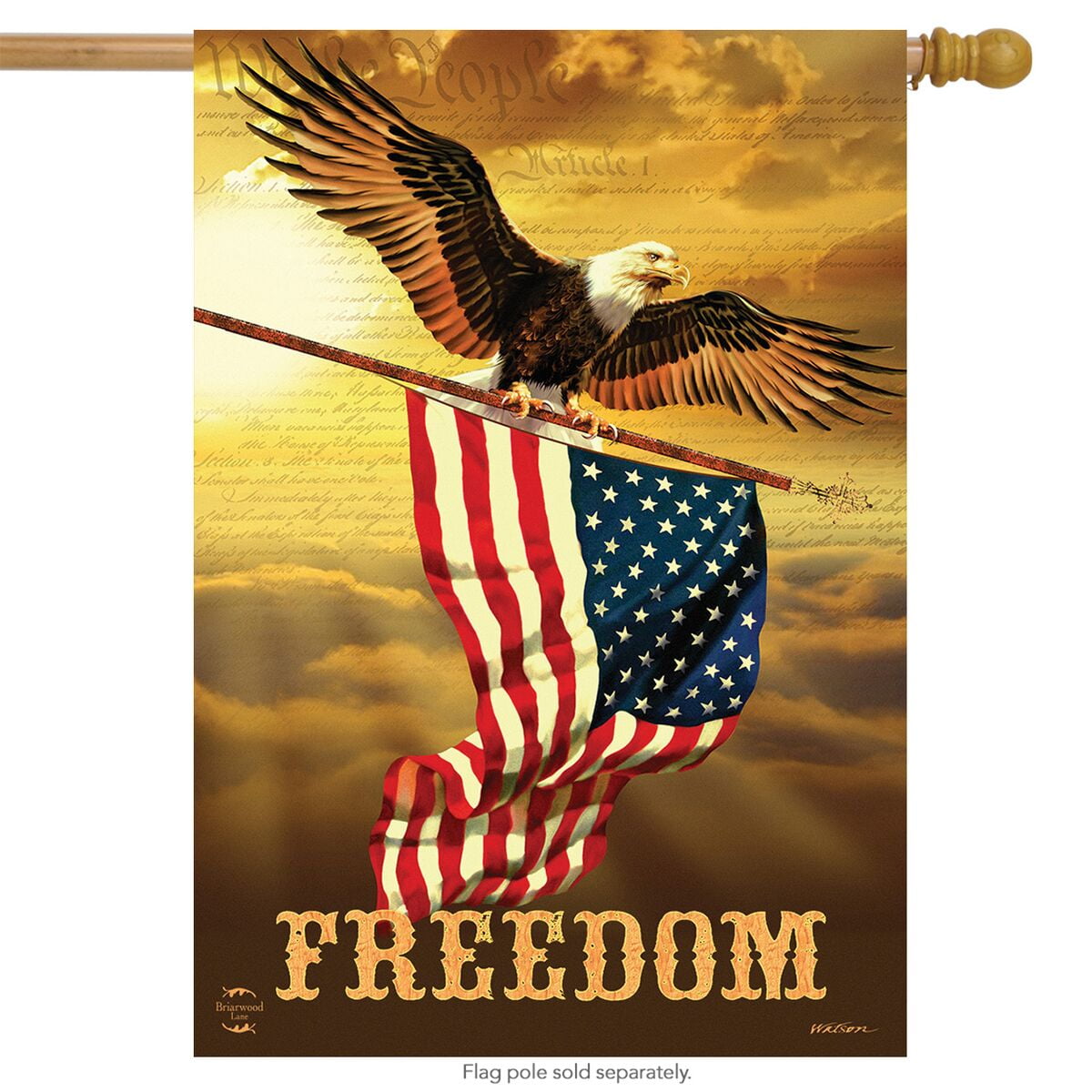 Freedom Patriotic House Flag Bald Eagle USA 28" x 40" Briarwood Lane
