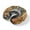 Gray, variant on Neck Pillow Ergonomic Memory Foam U Shaped Pillows,Spring Summer Flowers Geranium Soft Portable Neck Head Support Cushion Pillow for Travel Airplane Car Office Use,Red Geometric Striped