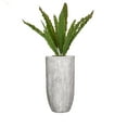 thumbnail image 1 of Vintage Home Artificial 52" High Artificial Faux Agave With Fiberstone Planter For Home Decor, 1 of 1