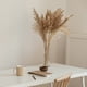 thumbnail image 5 of 25 Paquetes de Hierba Pampas Falsa de 21 Pulgadas 6 Tallos Hierba Artificial para Decoración, Rojo Arce, 5 of 6