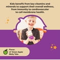 thumbnail image 2 of Multivitamínico para niños Renzo's Picky Eater con hierro, 60 tabletas derretidas, 2 of 7