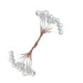 thumbnail image 4 of 200pcs Artificial Foam Holly Flower Berries Pearl Double Head Ribbon Decor, 4 of 5