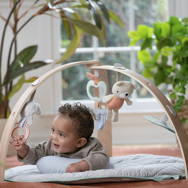 Ingenuity hotsell play mat
