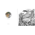 thumbnail image 3 of Colouring Books: Angela Harding Colouring Book (Paperback), 3 of 6