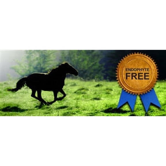 Kentucky 32 Tall Fescue Grass Seed - 25 Lbs.