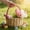 Pink, variant on YHAICO Easter Tote Bags Gift Storage Handbag Easter Storage Baskets Fruit Picking Picnic Basket Cute Cookies Beach Storage for Holiday Picnic Miscellaneous Storage Basket Cute Rabbits Desktop