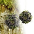 thumbnail image 1 of Greenery for Versatile Indoor and Outdoor Decorative Displays and Centerpieces, 1 of 6