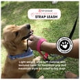 thumbnail image 3 of 2 in 1 Tab Leash Red with Glow-in-the-Dark feature for Small to Big Dogs from Toy Doggie Adventure Proof Collection, 3 of 7