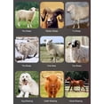 thumbnail image 7 of 2800W Electric Sheep Shears 6 Speeds Hair Clipper for Sheep Goat Alpacas Wool Scissor Sheep Farm Shearing Machine Cut ,Dustproof Design&Overheating Protection, 7 of 7