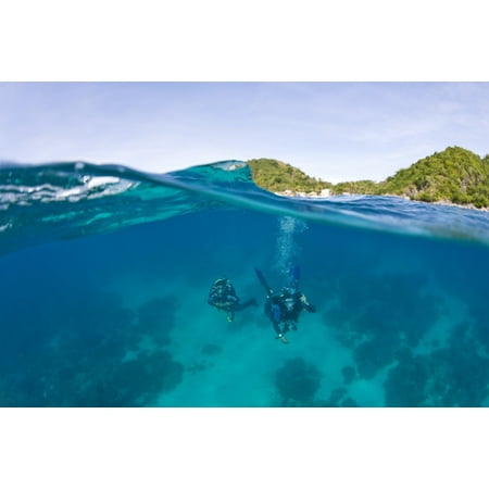 Posterazzi Apo Island Marine Park Negros Oriental Island Philippines Southeast Asia Scuba Divers Canvas Art - Stuart Westmorland  Design Pics (36 x