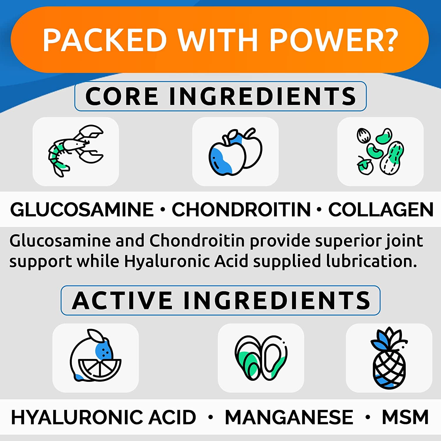 Liquid Glucosamine for Dogs - Hip & Joint Support with Chondroitin, MSM & Collagen - Easy-Serve Joint Pain Relief Supplement (16 fl oz)