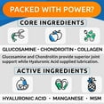 thumbnail image 4 of Liquid Glucosamine for Dogs - Hip & Joint Support with Chondroitin, MSM & Collagen - Easy-Serve Joint Pain Relief Supplement (16 fl oz), 4 of 8