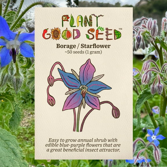 Plant Good Seed - Borage Herb Seeds - Starflower, Certified Organic Seed Packet, Edible Wildflower, Grow for Salads or Beneficial Insect Forage
