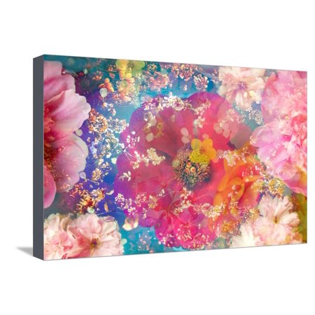 Composing of Blossoms and Branches in the Water Stretched Canvas Print Wall Art By Alaya Gadeh