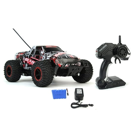 Cheetah King Remote Control Toy RC Rally Truck Car 2.4 GHz 1:16 Scale Size w/ Working Suspension, Spring Shock (Best 1 10 Rally Car)