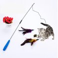 thumbnail image 1 of Jouet d'Exercice pour Chat et Chaton - Baguette de Jeu Interactive, 1 of 5