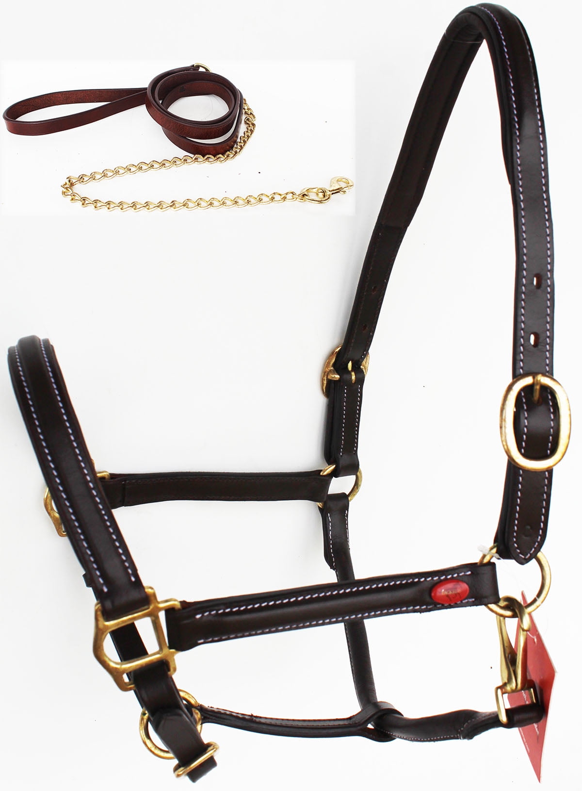 Horse English Western Padded Leather Show Halter Chain Lead Full