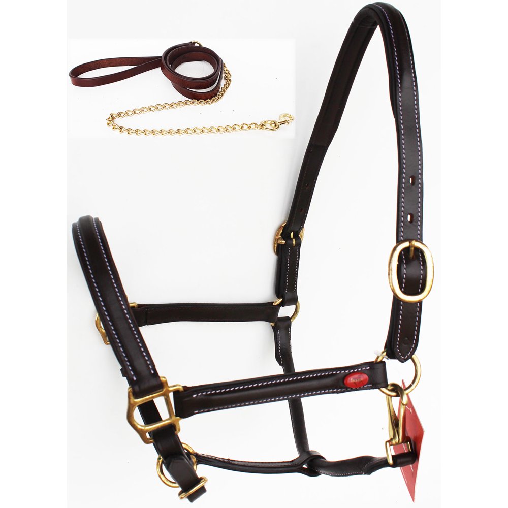 Horse English Western Padded Leather Show Halter Chain Lead Full 803215F
