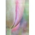 thumbnail image 2 of Murdock, Ramona 13x18 White Modern Wood Framed Museum Art Print Titled - Spring Beauty, 2 of 4